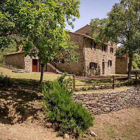 Ferienwohnung Borgo Al Teto La Vite Castiglion Fiorentino Exterior foto