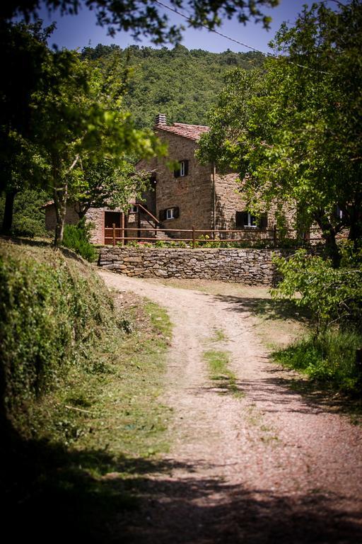 Ferienwohnung Borgo Al Teto La Vite Castiglion Fiorentino Exterior foto
