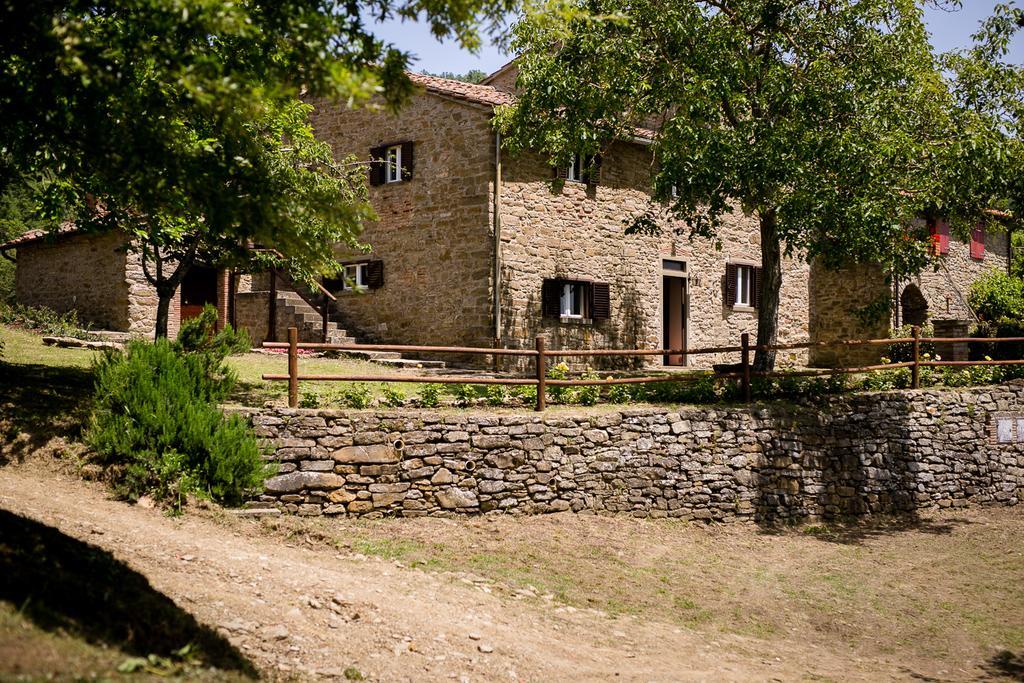 Ferienwohnung Borgo Al Teto La Vite Castiglion Fiorentino Exterior foto