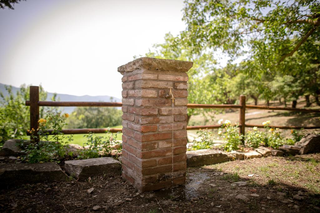 Ferienwohnung Borgo Al Teto La Vite Castiglion Fiorentino Exterior foto